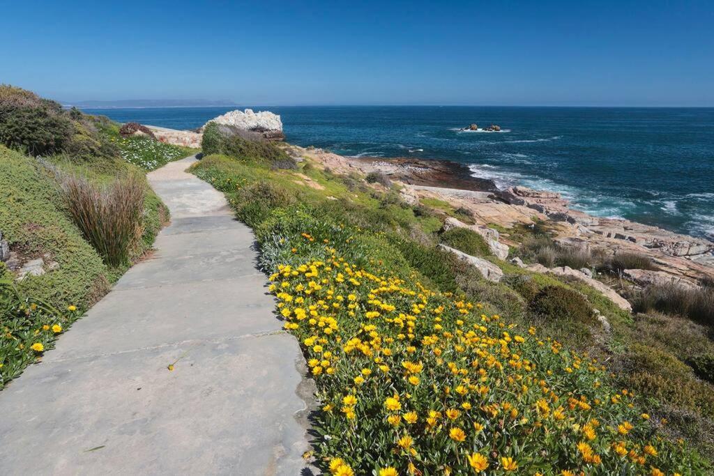 Mountain And Sea Cottage Hermanus Eksteriør bilde
